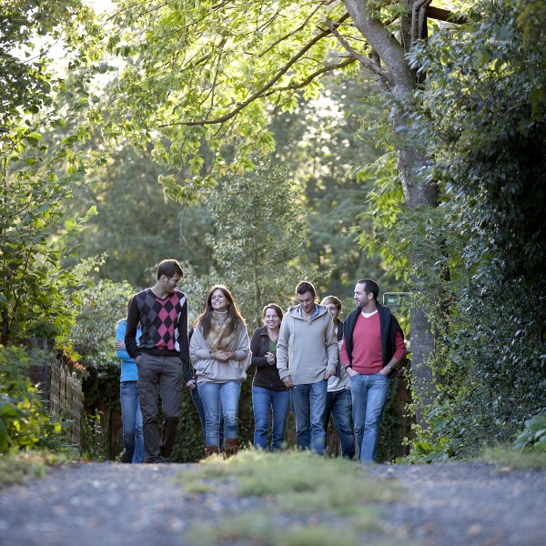 Heuvelland_groep_jongeren_wandelen_panorama_©WESTTOER_2017 (1)