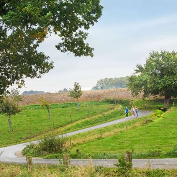 HEUVELLAND 2019 © Jan D’Hondt - Wandelen - Loker - WO1 eik (4)