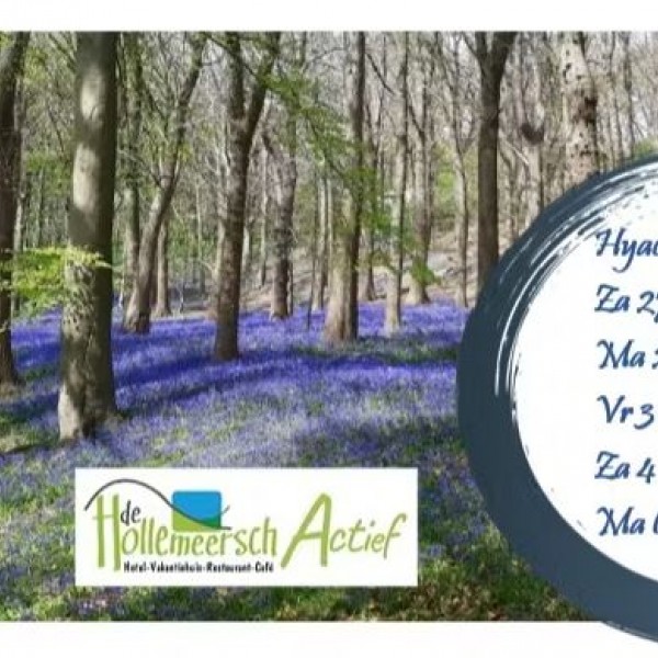 BoshyacintenWandelingenHollemeersch