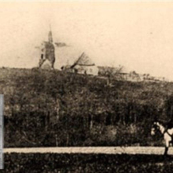 Scherpenbergmolen landschap King George