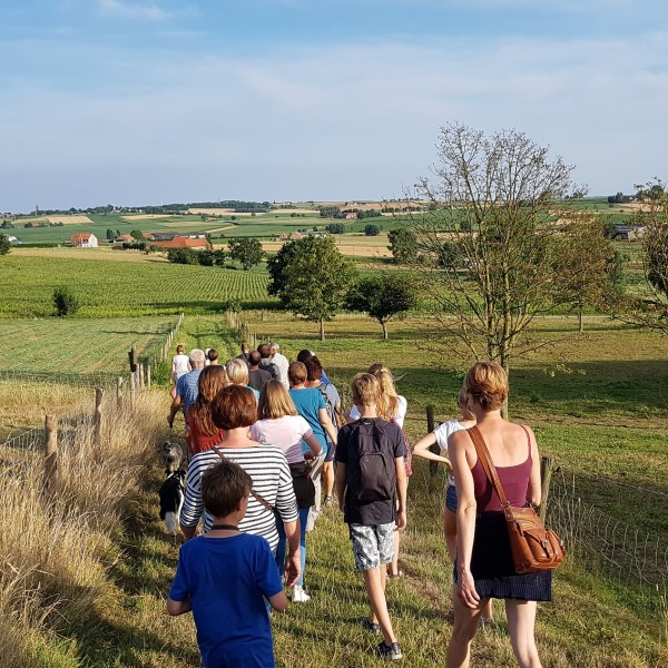 Heuvelland_zomerwandeling Dranouter Monteberg (13)
