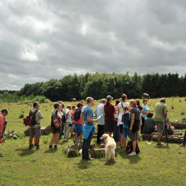 zomerwandeling_2021 © Natuurpunt De Bron