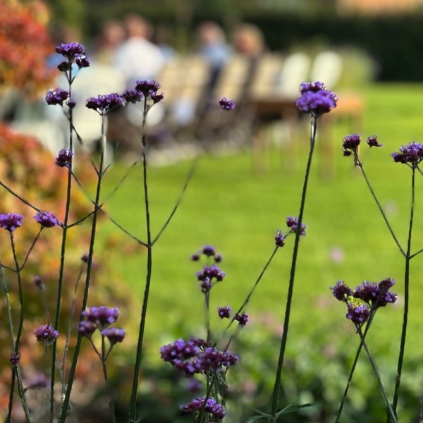 zoetemoendje-heuvelland-1