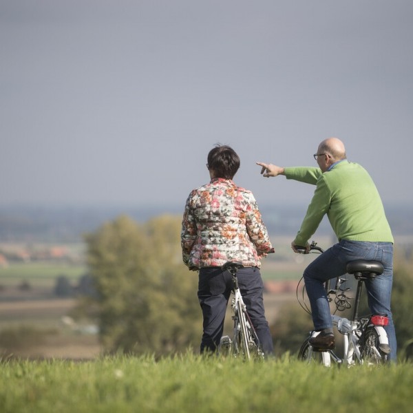 Lage resolutie-Fietsen langs Heuvellandse wijngaarden