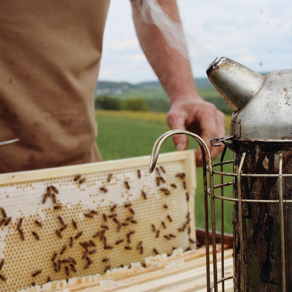 heuvelland-westhoek-honing-ambacht-toerisme-koken-9