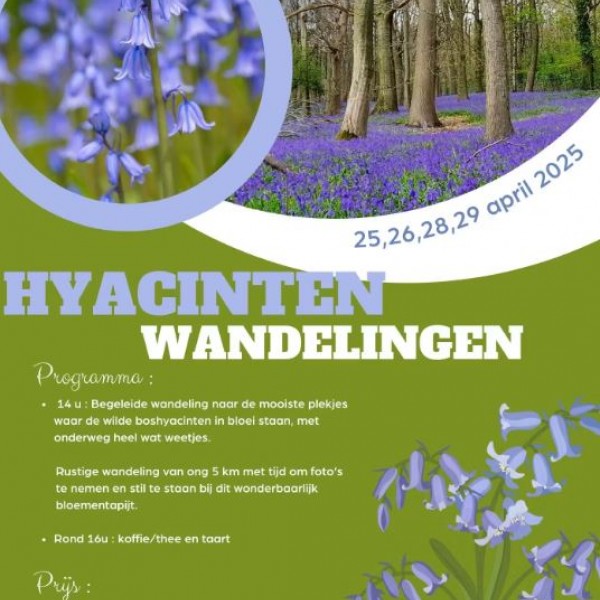 HyacintenwandelingenHollemeersch2025