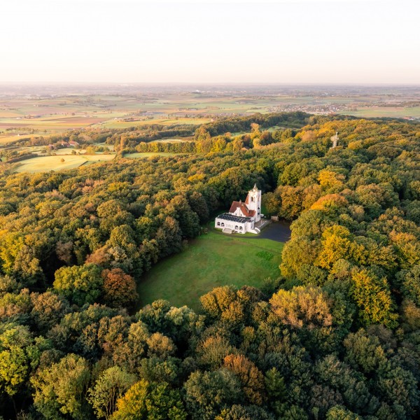 The Famous Belvedere