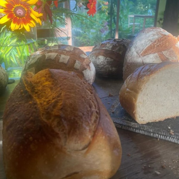 UiTBellestraat21_brood