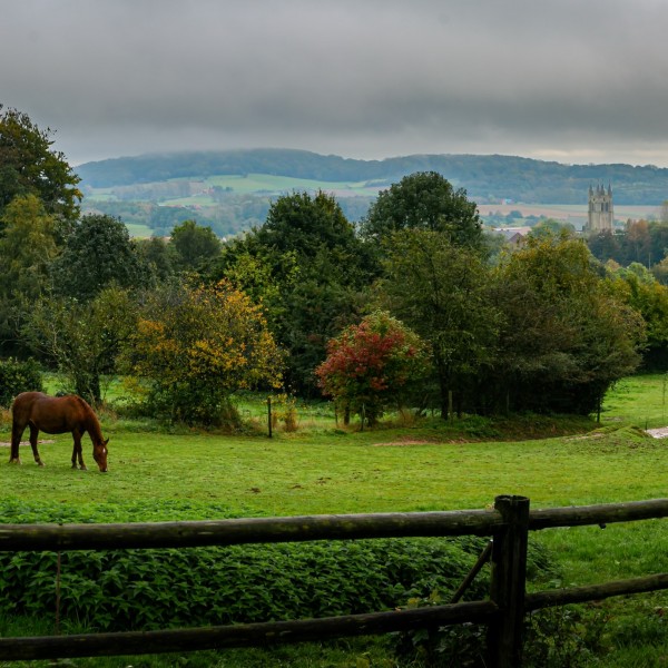 Heuvelland_herfst_paarden_Loker_kerk_©ThierryCaignie