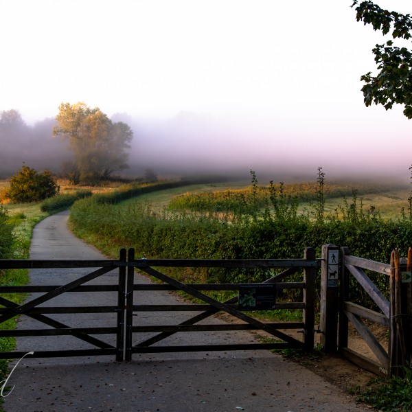 Heuvelland_Kemmelberg_wandelen_wandelpad_herfst_mist_zonsondergang (7)