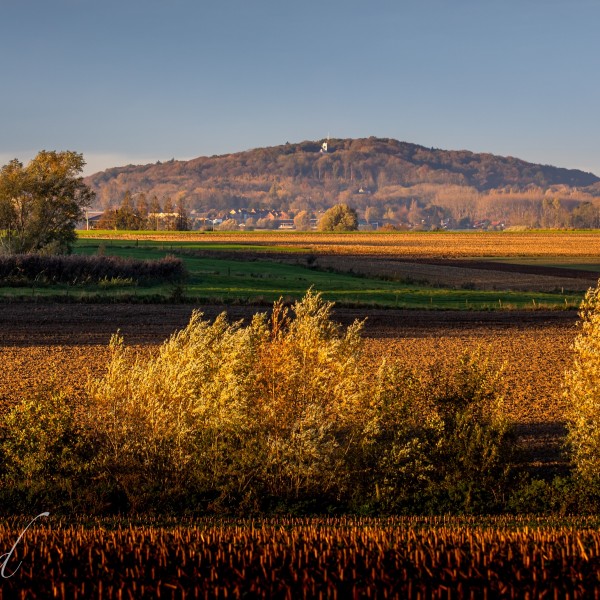 Heuvelland_Kemmelberg_zonsopgang_herfst@ThierryCaignie2020 (3)