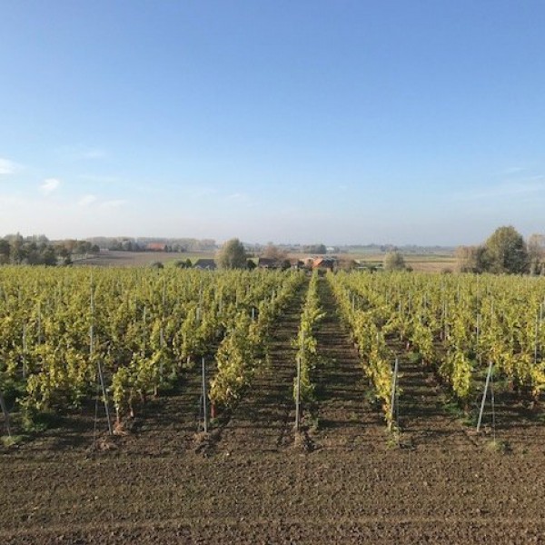 Wijndomein Rozenhill