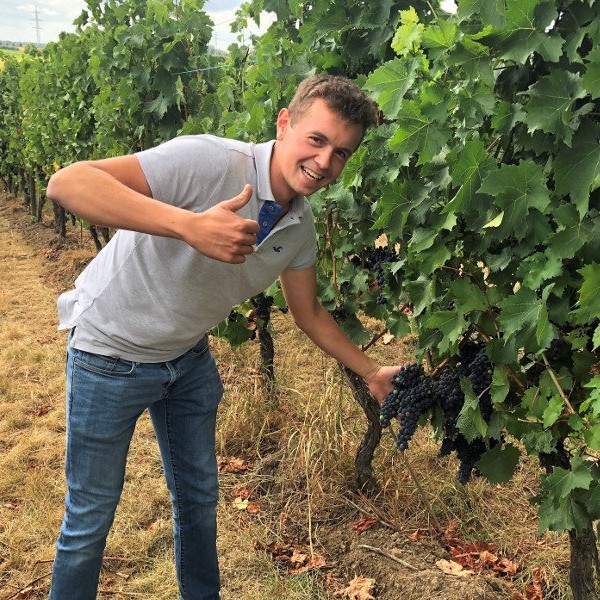 Wijndomein Rozenhill