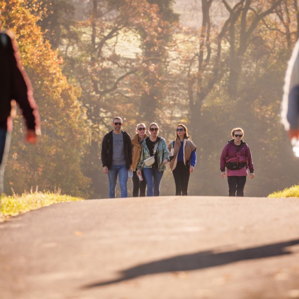 NOVEMBER Heuvelland_herfst_2025-17