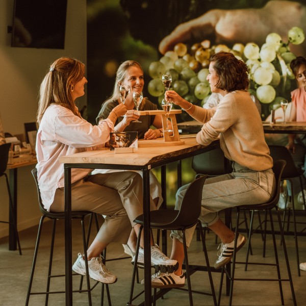 Heuvelland_Entre-Deux-Monts_(c)EDM (5)