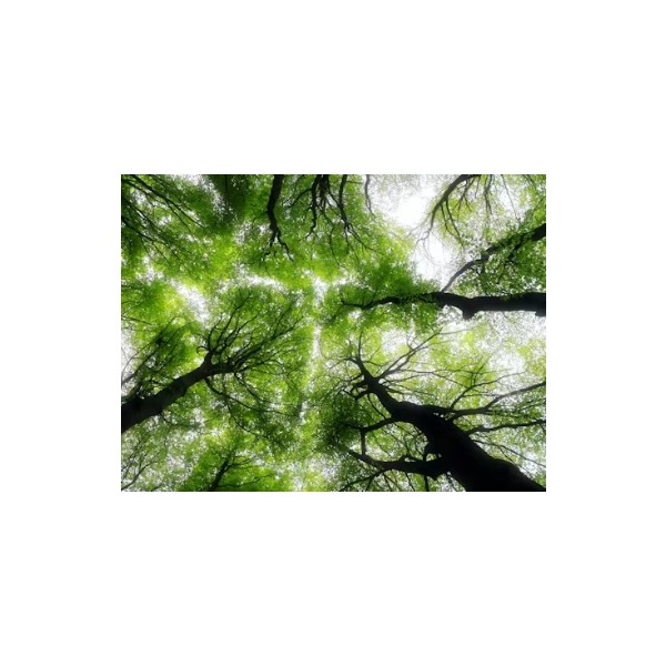 Schermopname_4-3-2026_101929_heuvelland.be