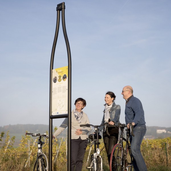 Vintage Heuvelland Fietsroute©DavidSamyn