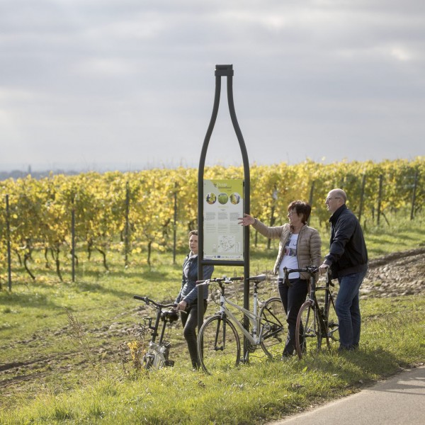 Vintage Heuvelland Fietsroute©DavidSamyn
