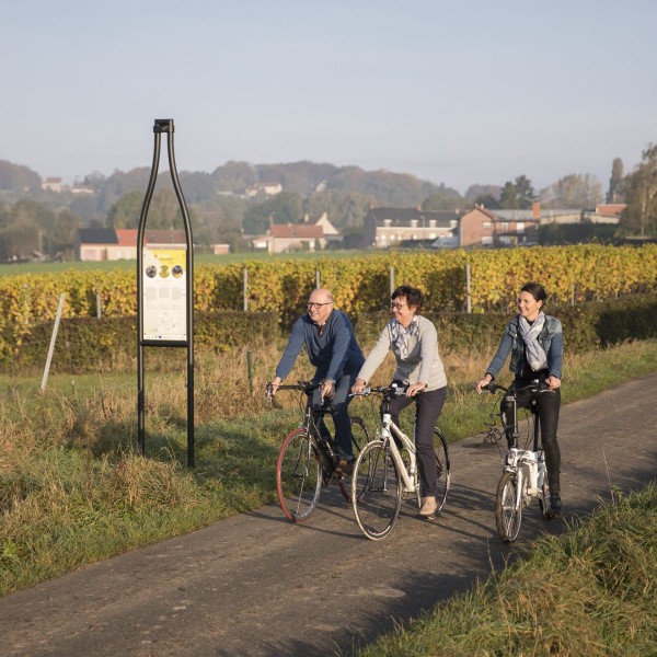 Vintage Heuvelland Fietsroute©DavidSamyn
