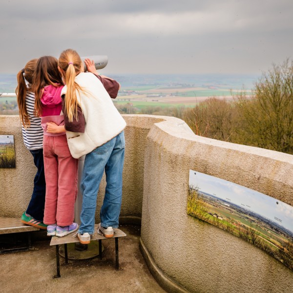 Hoogtepunt2026-35_KLEIN