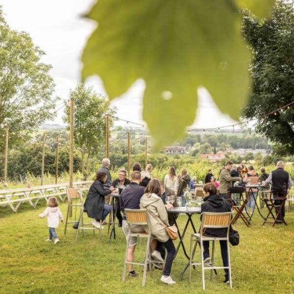 Open Wijngaardfeesten