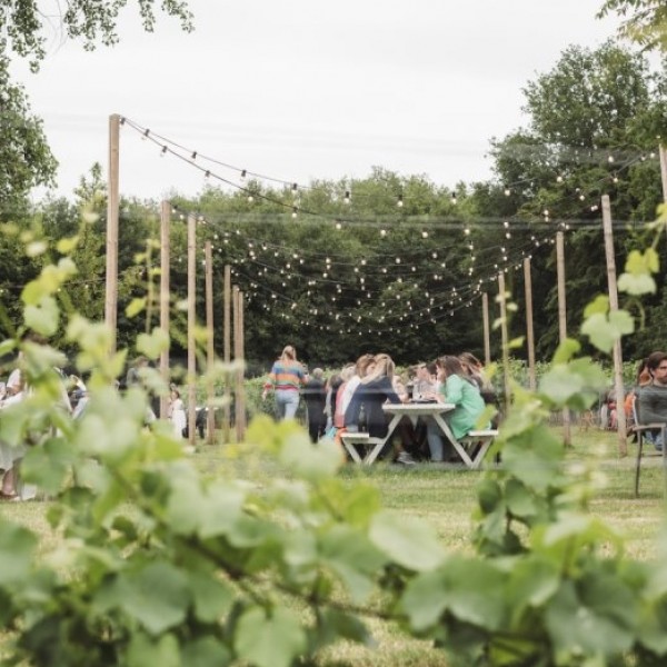 Open Wijngaardfeesten