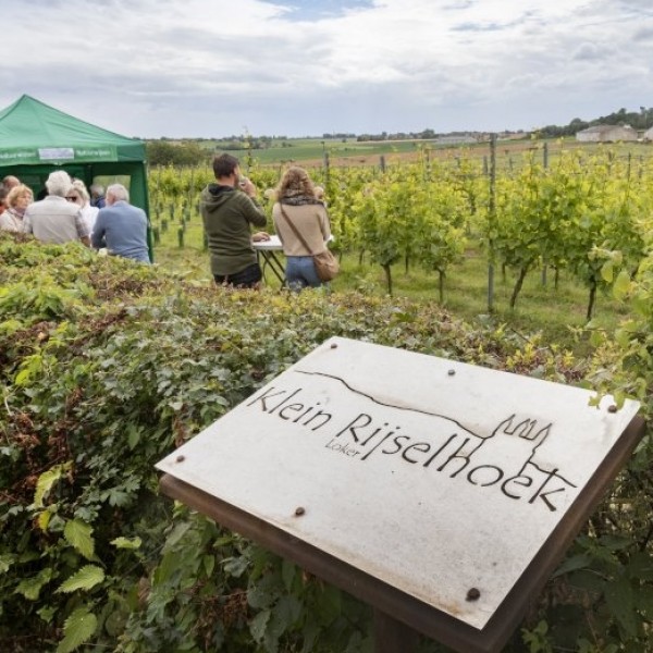 Open Wijngaardfeesten