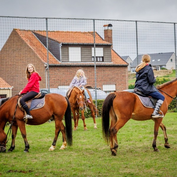 Heuvelland_Tope_2025-83