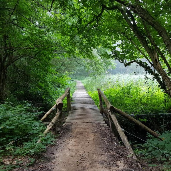 Elfbergentocht