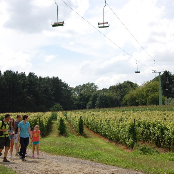 Wijngaard_Wandelen_Kabelbaan_2014©Westtoer