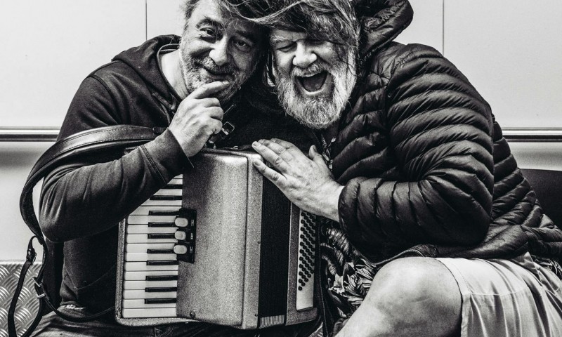 De Dolfijntjes - De Voorlaatste Afscheidstournee (try-out)