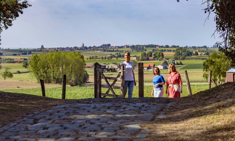 Winterwandeling: Heuvelland in beweging.