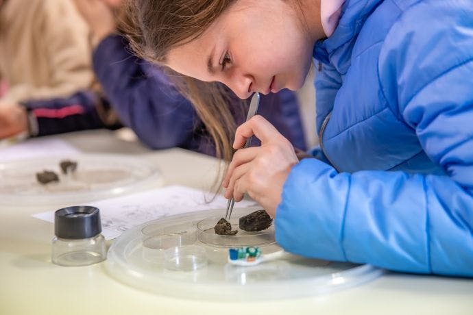 Braakballen uitgepluisd