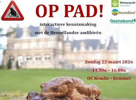 Schermopname_11-2-2026_81328_images-prod-uitdatabank.imgix.net