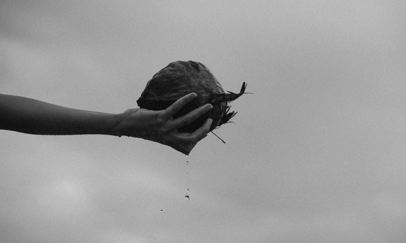 Expo Camille Mortier & Inge Vandenbroucke