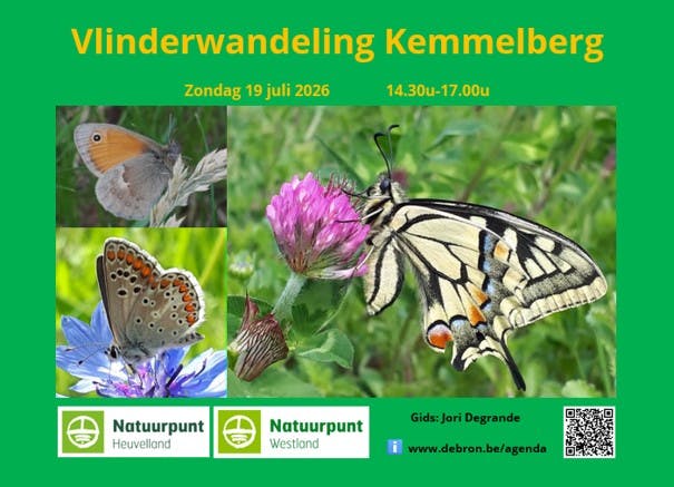 Vlinderwandeling Kemmelberg