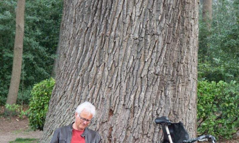 Lezing - Bomen fluisteren verhalen- Dirk Waelput