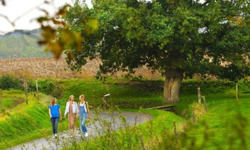 Wandeling op en rond de Scherpenberg – Pierre Hubeau