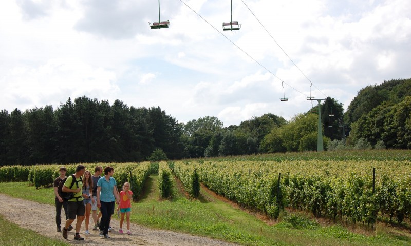 Wijngaard_wandelen_kabelbaan_2014_©Westtoer