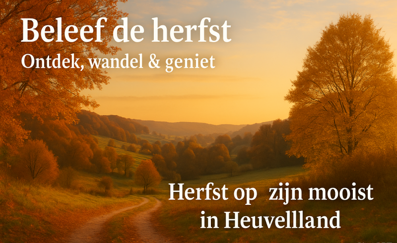 HerfstHeuvelland_banner