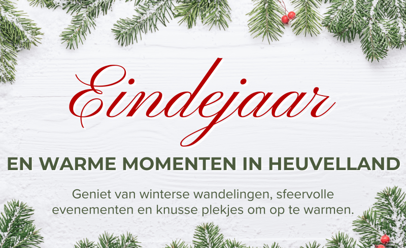 Green Red White Merry Christmas and Happy New Year Banner (2)