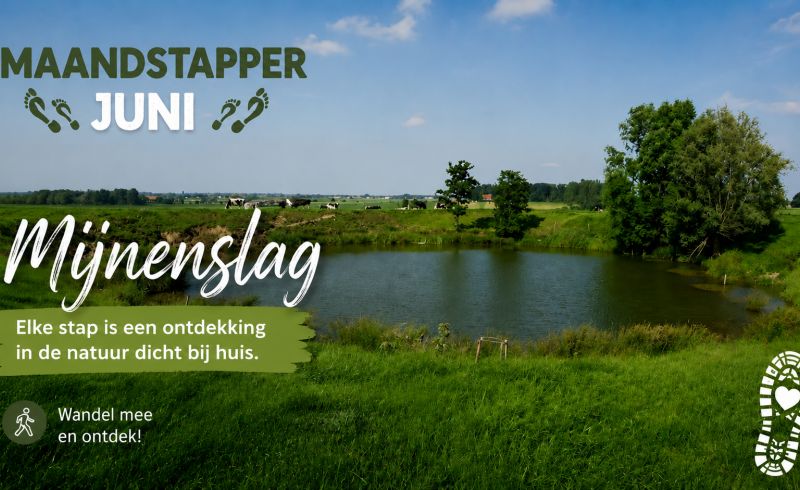 Maandstapper Juni