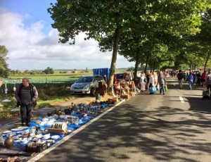 Boshyacintenfestival op de Kemmelberg